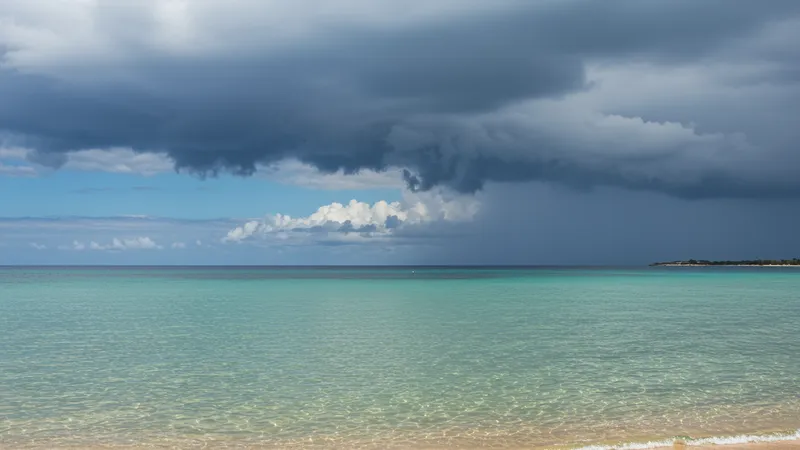 Page 13 illustration